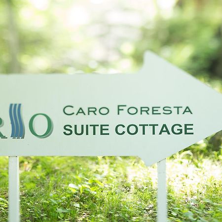 Caro Foresta Kita Karuizawa Rio Hotell Tsumagoi Eksteriør bilde